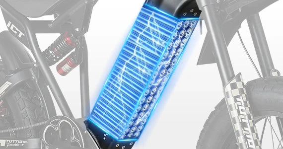 60V 25AH LG Cells Battery