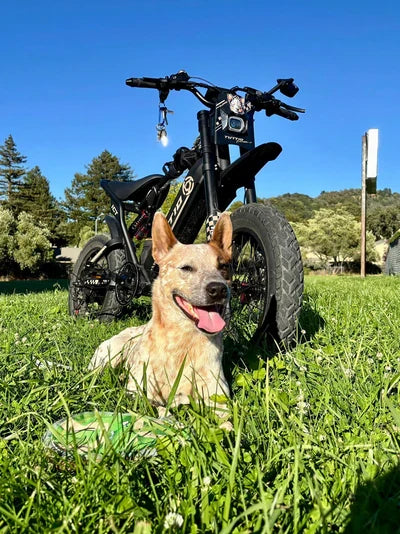 Tuttio ICT electric bike customer photo